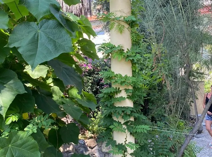 Vale Вілла Санремо